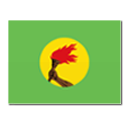 Congo-Kinshasaの国旗
